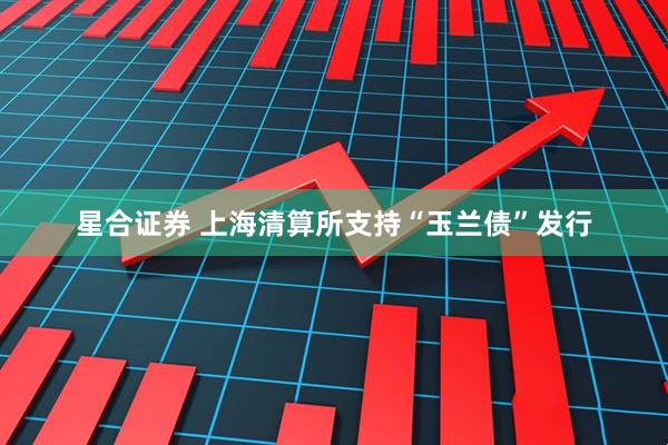 星合证券 上海清算所支持“玉兰债”发行