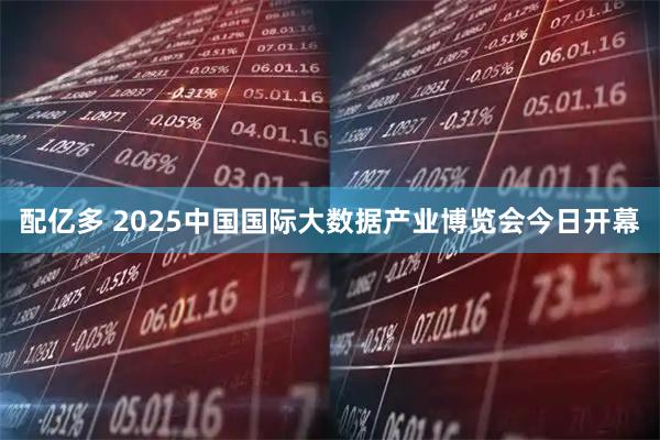 配亿多 2025中国国际大数据产业博览会今日开幕