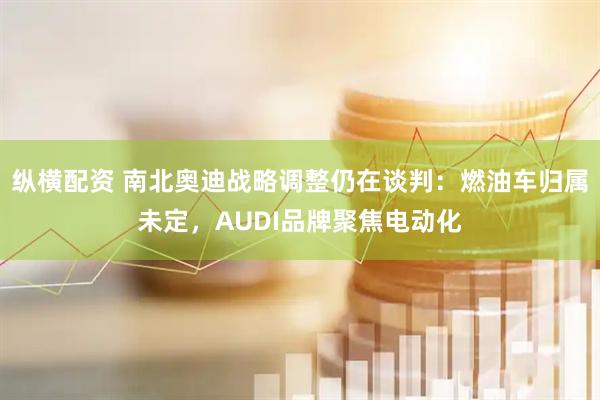 纵横配资 南北奥迪战略调整仍在谈判：燃油车归属未定，AUDI品牌聚焦电动化