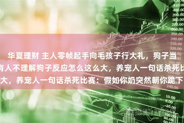 华夏理财 主人零帧起手向毛孩子行大礼，狗子当场被吓跳起来，评论区有人不理解狗子反应怎么这么大，养宠人一句话杀死比赛：假如你奶突然朝你跪下…