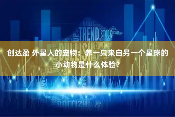 创达盈 外星人的宠物：养一只来自另一个星球的小动物是什么体验？