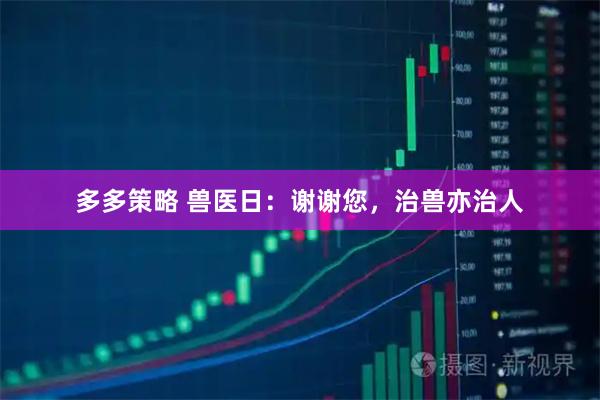 多多策略 兽医日：谢谢您，治兽亦治人